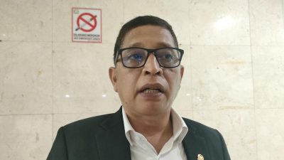 Dewan Statistik Nasional Tak Bisa Intervensi Lembaga